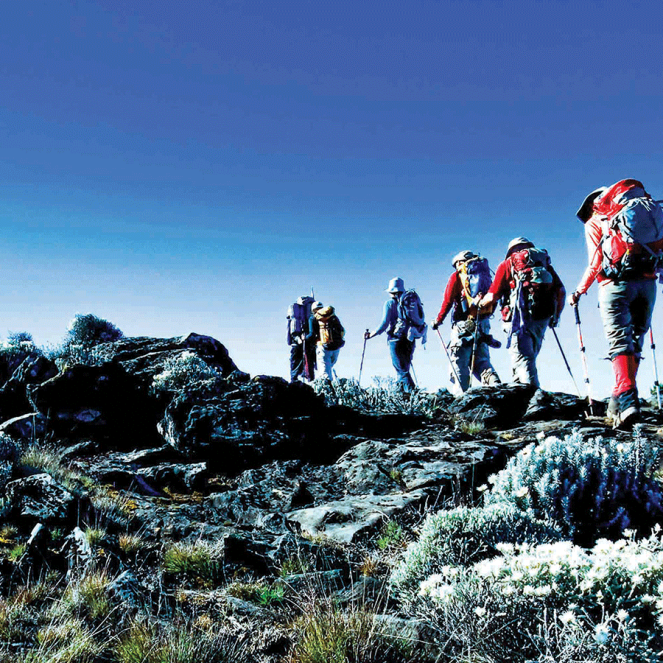 9-Days-Climbing-Mount-Kilimanjaro-Northern-Circuit